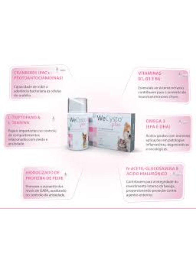 WePharm WeCysto Plus Urinary Support Edible Gel for Dogs & Cats Bladder Health & Stress Control  50 ml From Varmacy - Image 3